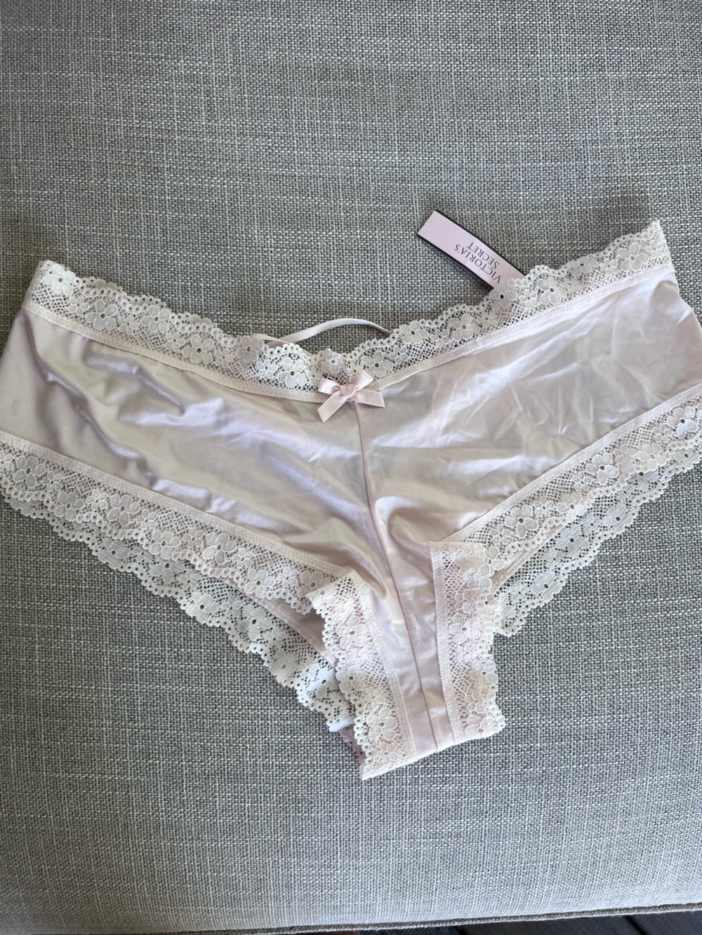 Victoria's Secret Pale Pink Lace-Trim Bikini Panty